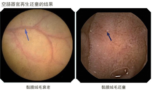 非凡国际·(中国游)体育官方网站