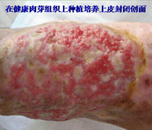 非凡国际·(中国游)体育官方网站