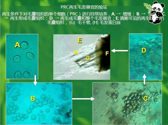 非凡国际·(中国游)体育官方网站