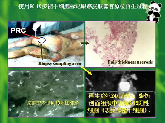 非凡国际·(中国游)体育官方网站
