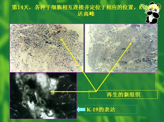 非凡国际·(中国游)体育官方网站