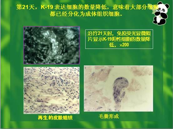 非凡国际·(中国游)体育官方网站