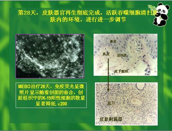 非凡国际·(中国游)体育官方网站