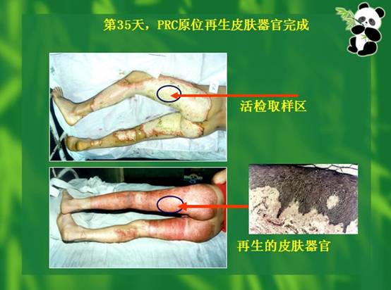 非凡国际·(中国游)体育官方网站