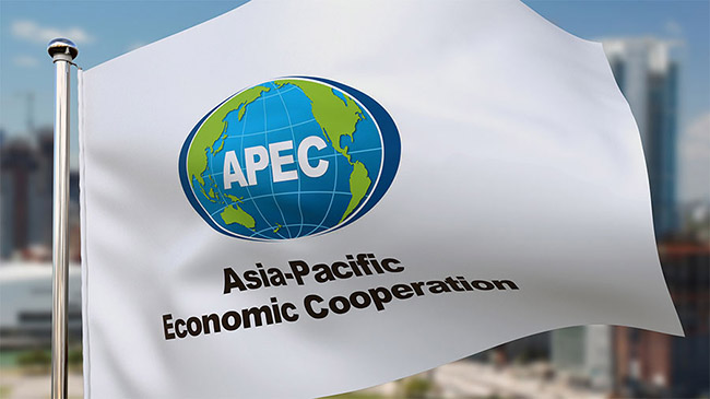 非凡国际·(中国游)体育官方网站