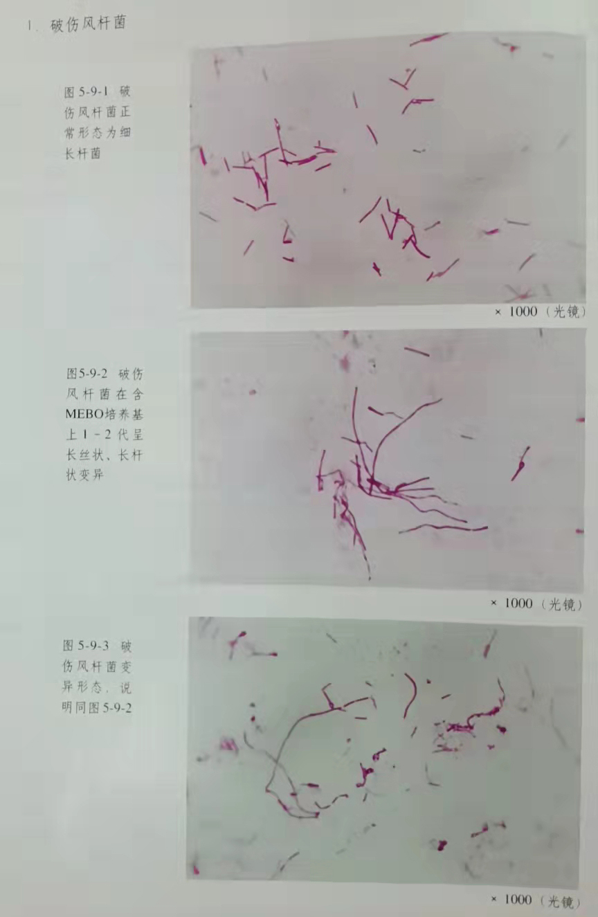 非凡国际·(中国游)体育官方网站