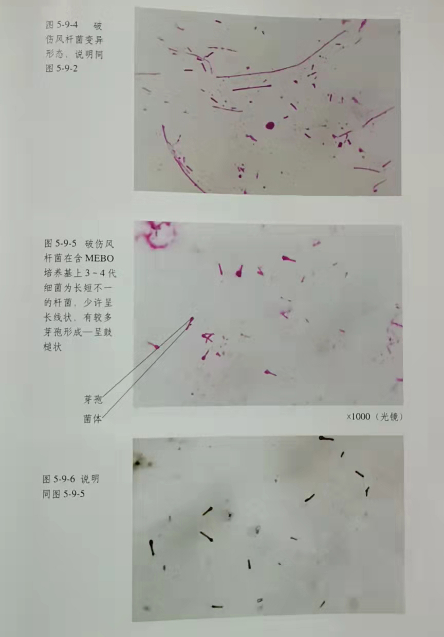 非凡国际·(中国游)体育官方网站