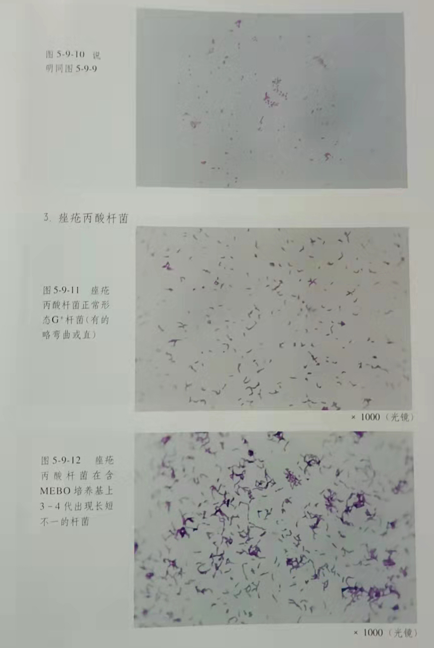 非凡国际·(中国游)体育官方网站