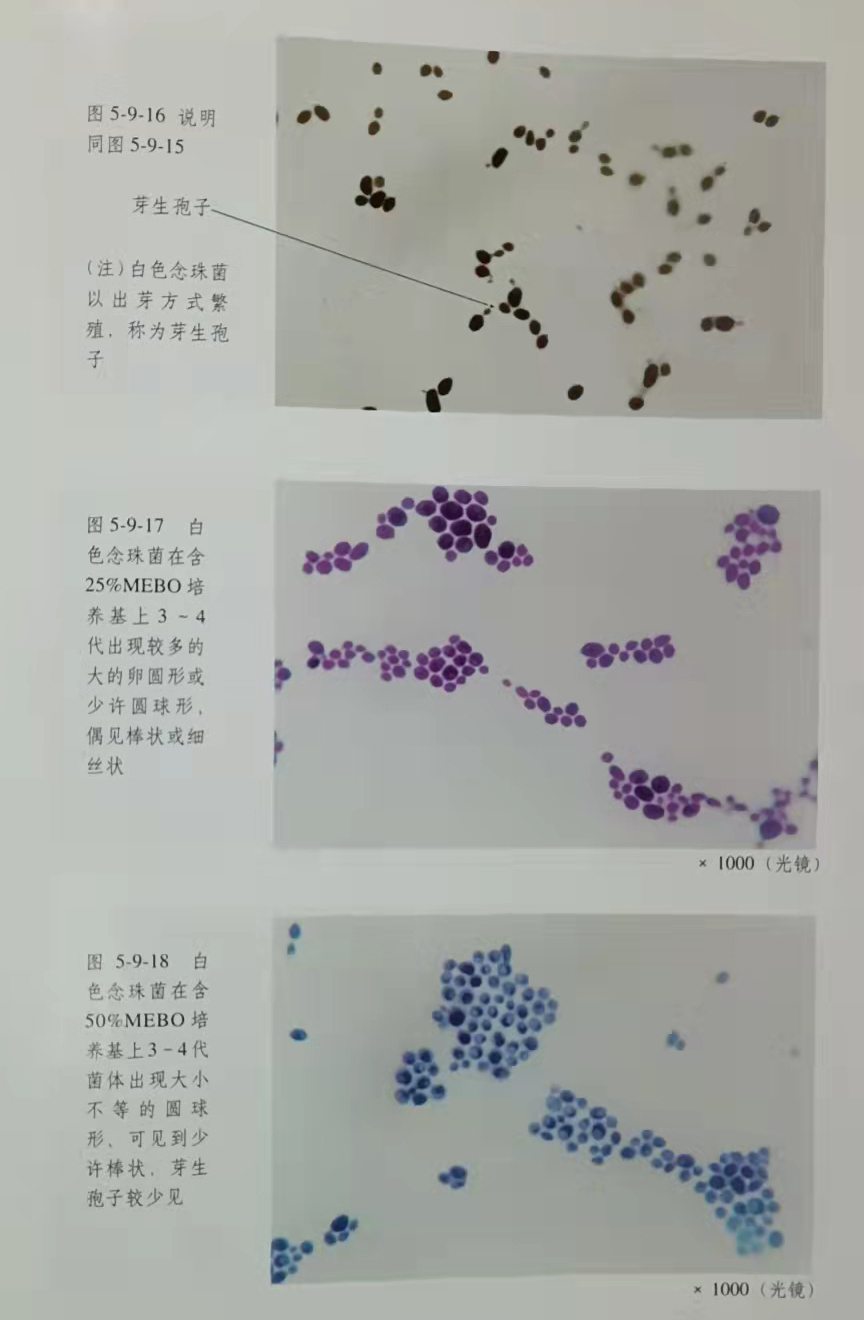 非凡国际·(中国游)体育官方网站