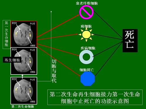 非凡国际·(中国游)体育官方网站
