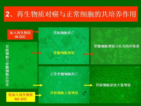 非凡国际·(中国游)体育官方网站