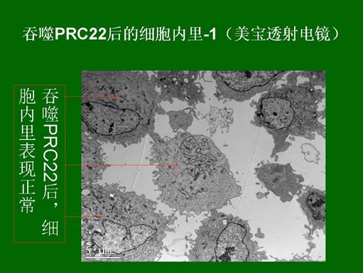 非凡国际·(中国游)体育官方网站