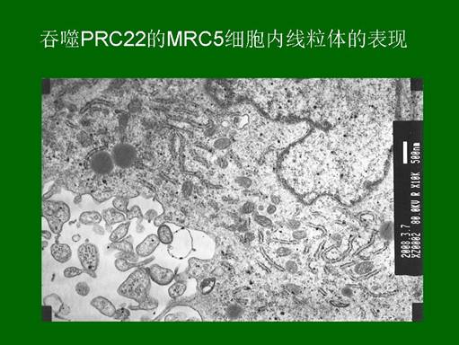 非凡国际·(中国游)体育官方网站
