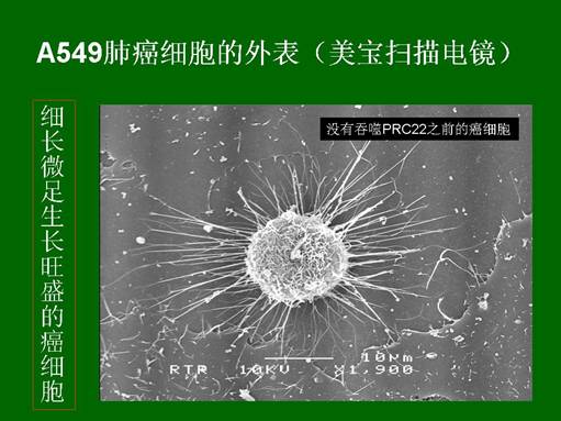 非凡国际·(中国游)体育官方网站