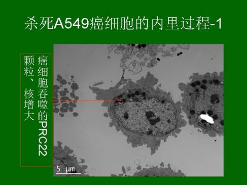 非凡国际·(中国游)体育官方网站