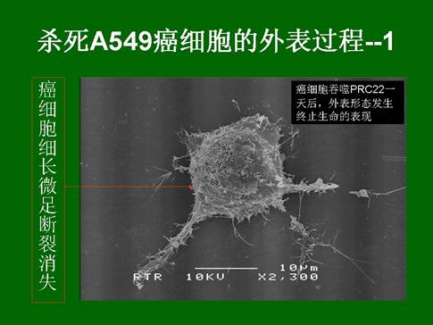 非凡国际·(中国游)体育官方网站
