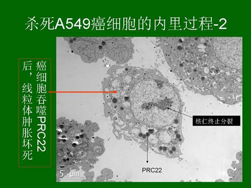 非凡国际·(中国游)体育官方网站