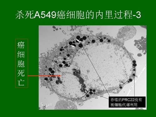 非凡国际·(中国游)体育官方网站