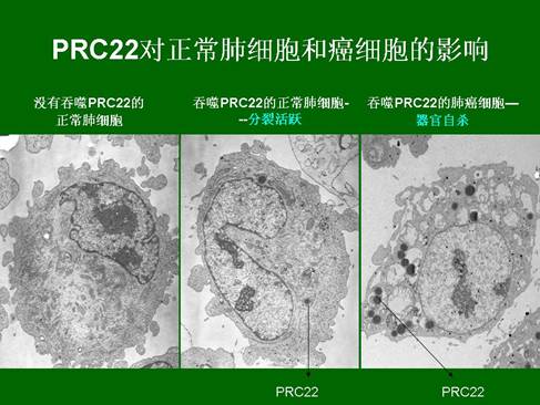非凡国际·(中国游)体育官方网站