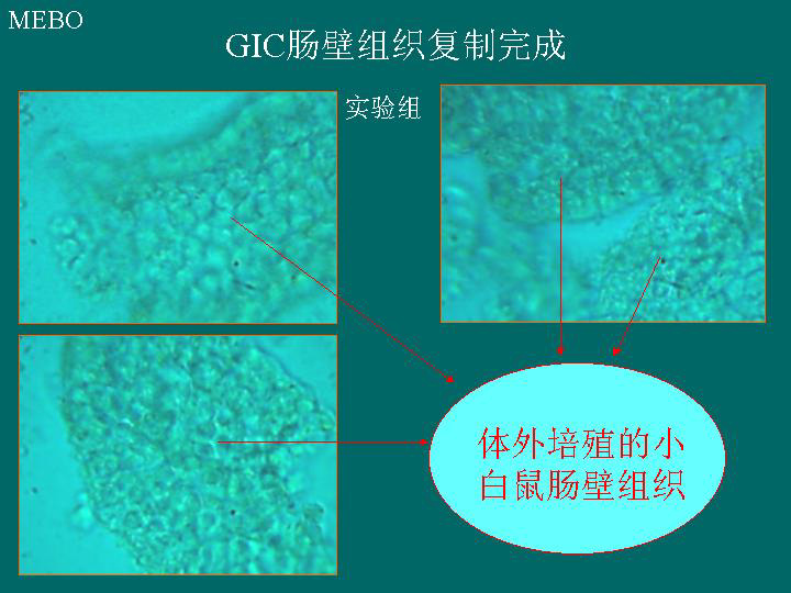 非凡国际·(中国游)体育官方网站