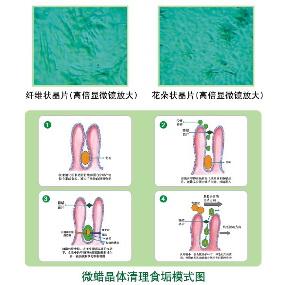 非凡国际·(中国游)体育官方网站