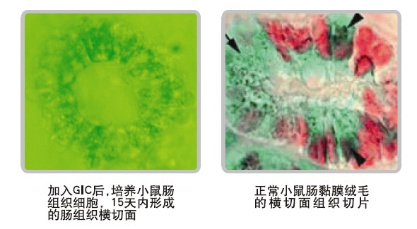 非凡国际·(中国游)体育官方网站