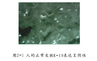 非凡国际·(中国游)体育官方网站