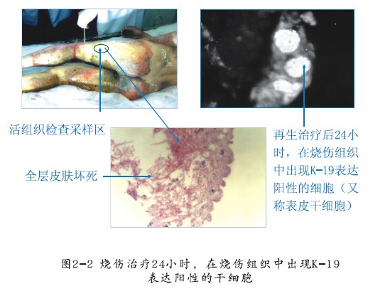 非凡国际·(中国游)体育官方网站