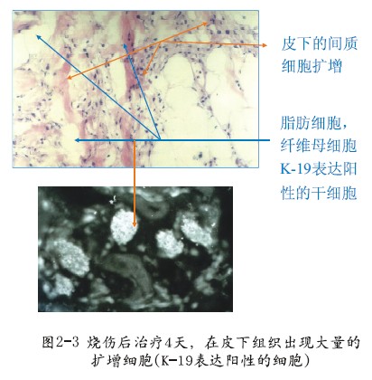 非凡国际·(中国游)体育官方网站