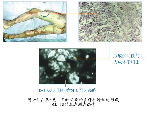 非凡国际·(中国游)体育官方网站