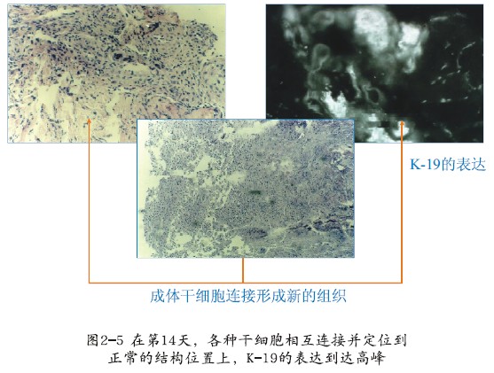 非凡国际·(中国游)体育官方网站