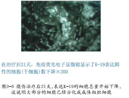 非凡国际·(中国游)体育官方网站