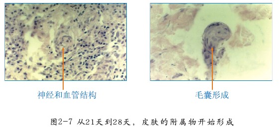 非凡国际·(中国游)体育官方网站