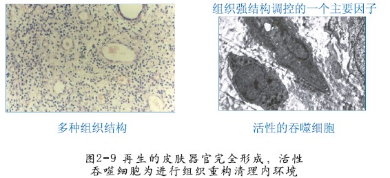 非凡国际·(中国游)体育官方网站