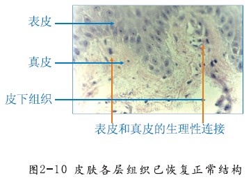 非凡国际·(中国游)体育官方网站