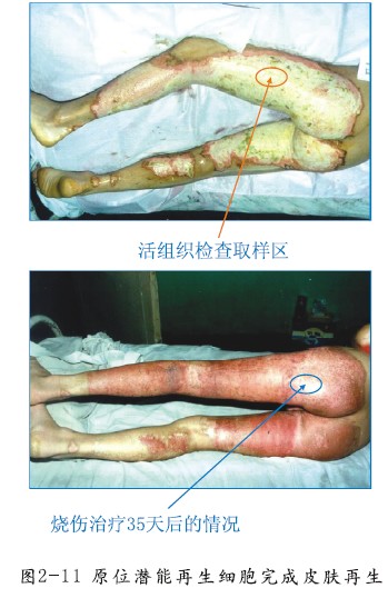 非凡国际·(中国游)体育官方网站
