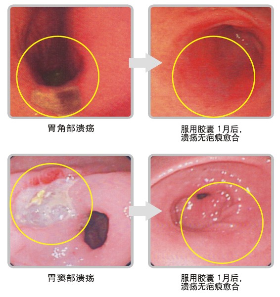 非凡国际·(中国游)体育官方网站
