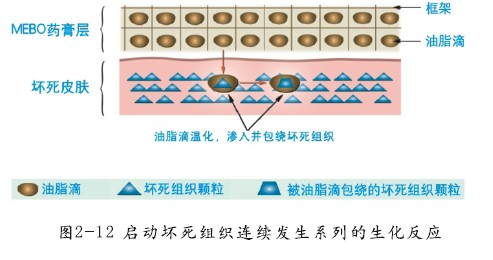非凡国际·(中国游)体育官方网站