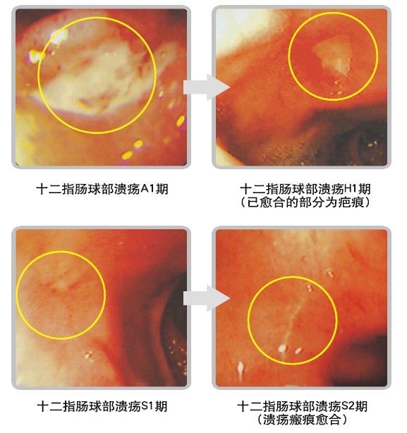 非凡国际·(中国游)体育官方网站