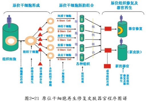 非凡国际·(中国游)体育官方网站