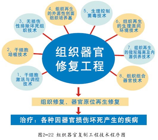 非凡国际·(中国游)体育官方网站
