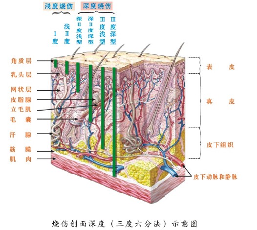非凡国际·(中国游)体育官方网站