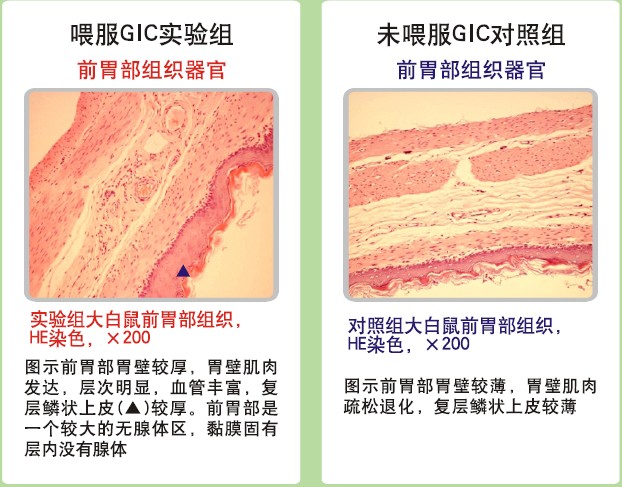 非凡国际·(中国游)体育官方网站