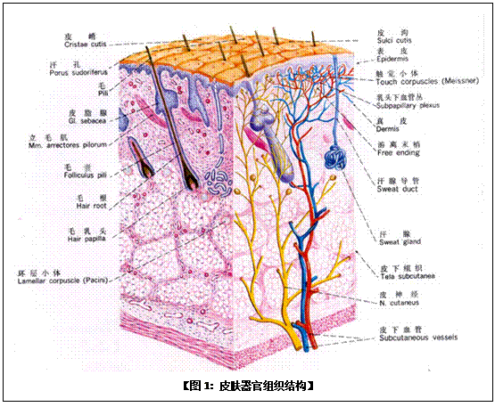 非凡国际·(中国游)体育官方网站