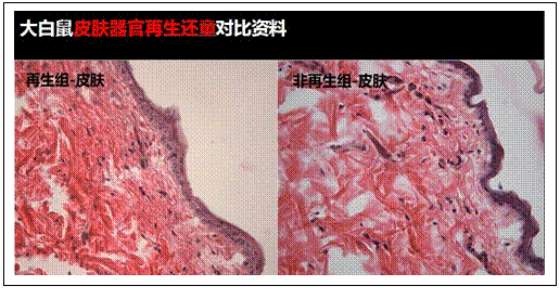 非凡国际·(中国游)体育官方网站