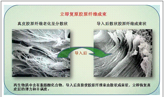 非凡国际·(中国游)体育官方网站