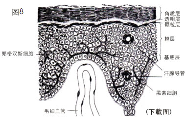 201122016956181