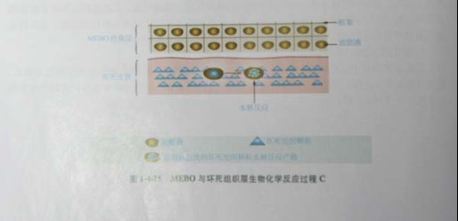 201131134813420