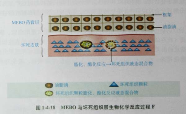 20113113503345