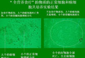 非凡国际·(中国游)体育官方网站